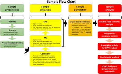 An Endemic Plant of the Mediterranean Area: Phytochemical Characterization of Strawberry Tree (Arbutus unedo L.) Fruits Extracts at Different Ripening Stages